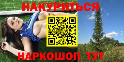 шишки Ярославль