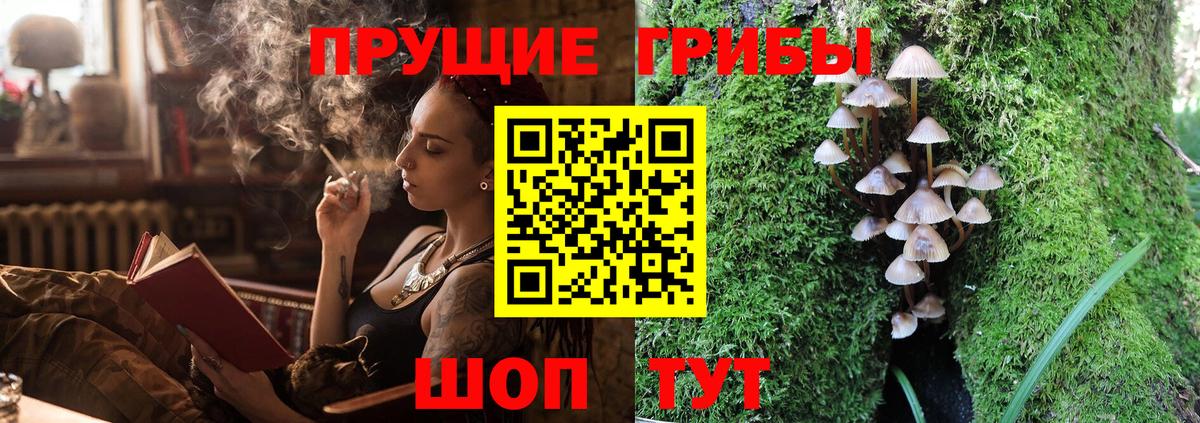 Галлюциногенные грибы прущие грибы Мариинск